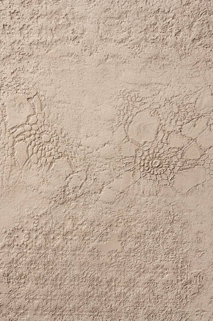 Matteo brioni okładka